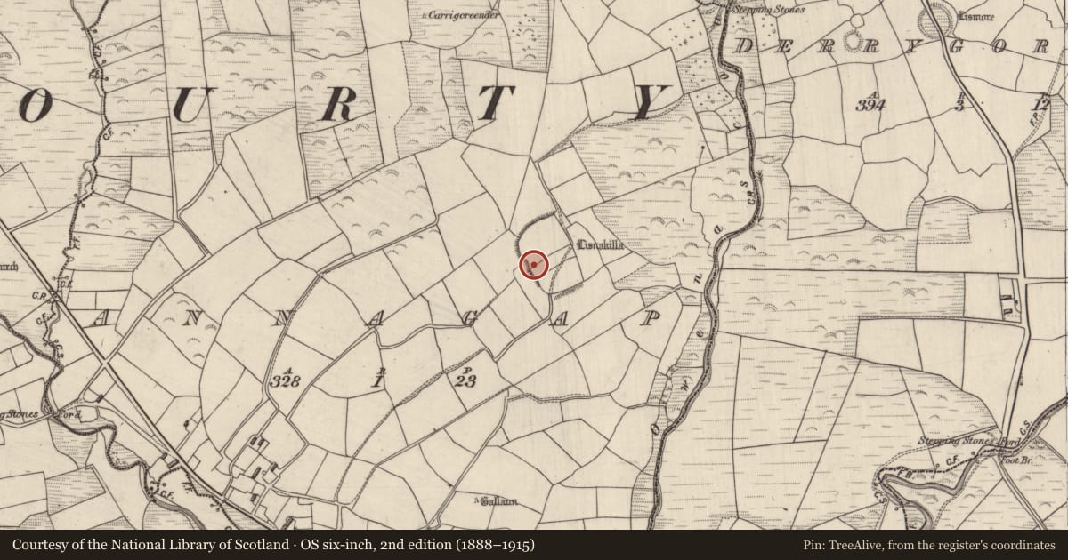 Ordnance Survey six-inch map, 2nd edition (1888–1915) covering the location of House - indeterminate date, Annagap, County Kerry, with a pin at the register's coordinates