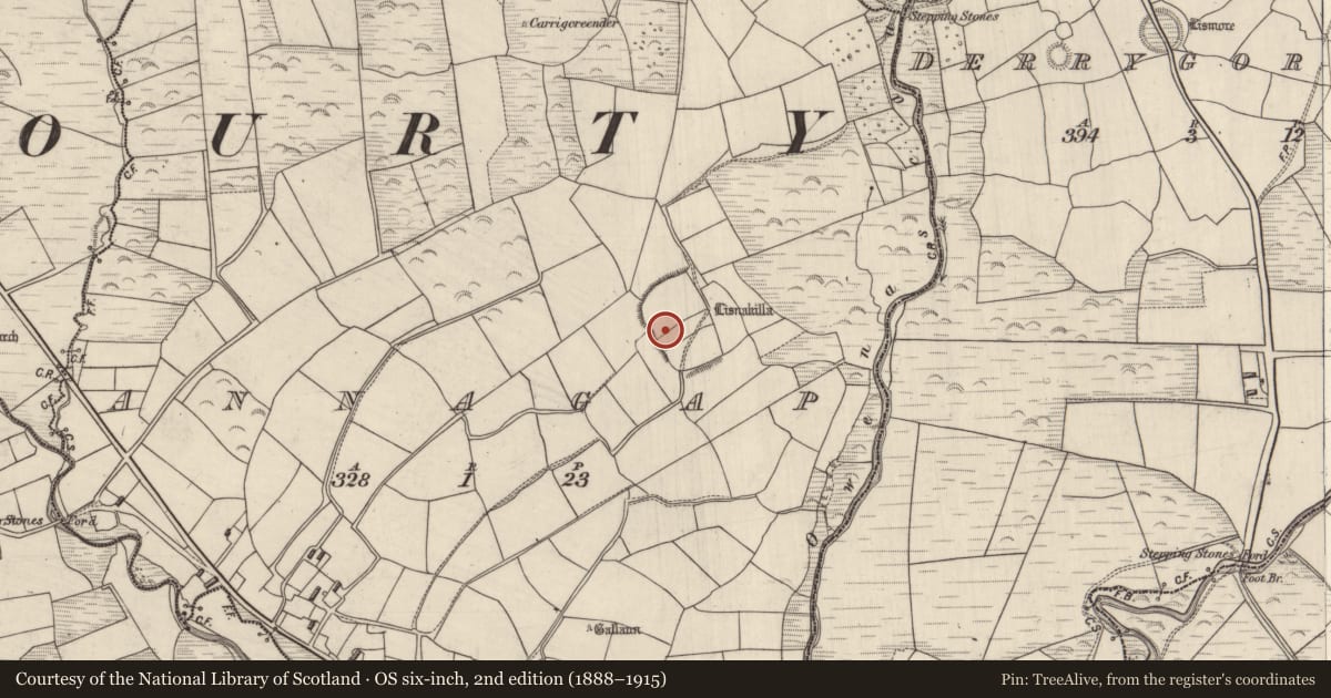 Ordnance Survey six-inch map, 2nd edition (1888–1915) covering the location of House - indeterminate date, Annagap, County Kerry, with a pin at the register's coordinates