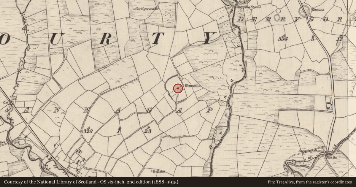 Ordnance Survey six-inch map, 2nd edition (1888–1915) covering the location of House - indeterminate date, Annagap, County Kerry, with a pin at the register's coordinates
