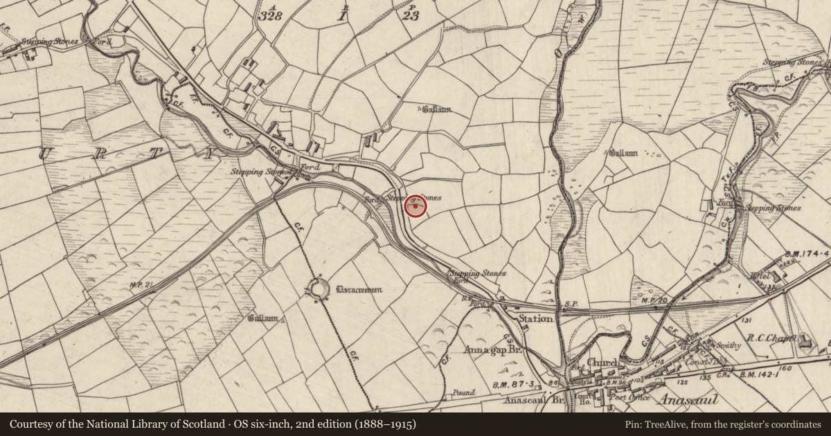Ordnance Survey six-inch map, 2nd edition (1888–1915) covering the location of Hut site, Annagap, County Kerry, with a pin at the register's coordinates