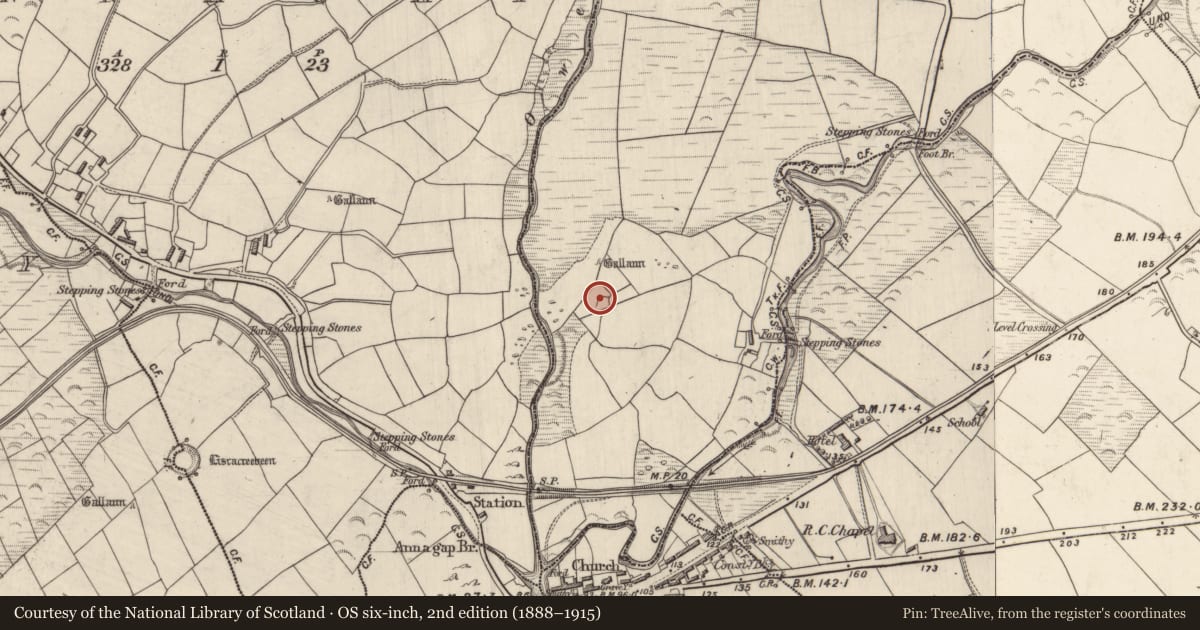 Ordnance Survey six-inch map, 2nd edition (1888–1915) covering the location of Ringfort - rath, Derrygorman, County Kerry, with a pin at the register's coordinates