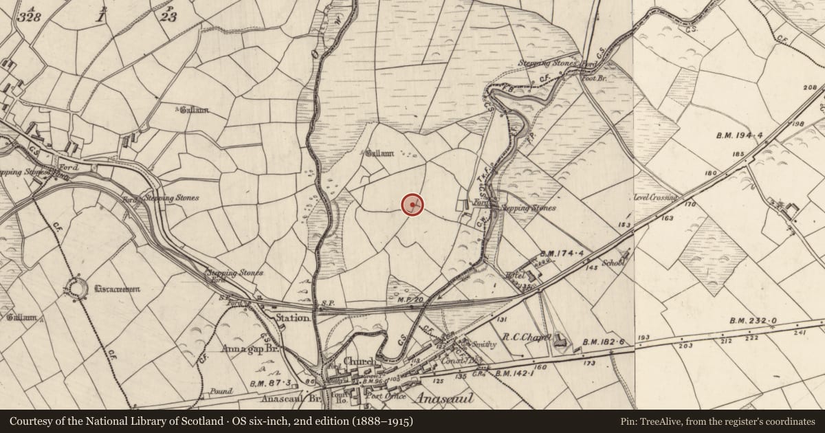 Ordnance Survey six-inch map, 2nd edition (1888–1915) covering the location of Mound, Derrygorman, County Kerry, with a pin at the register's coordinates