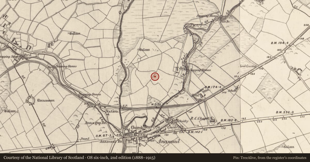 Ordnance Survey six-inch map, 2nd edition (1888–1915) covering the location of Hut site, Derrygorman, County Kerry, with a pin at the register's coordinates