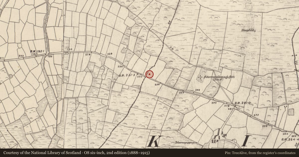 Ordnance Survey six-inch map, 2nd edition (1888–1915) covering the location of Souterrain, Gualainn, County Kerry, with a pin at the register's coordinates