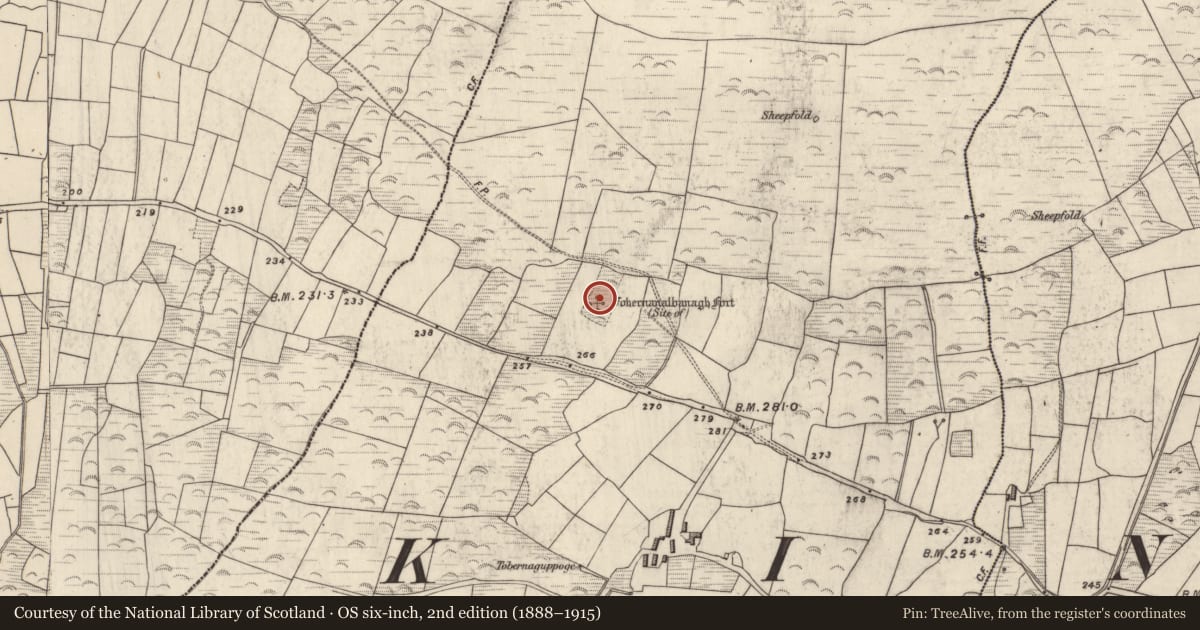 Ordnance Survey six-inch map, 2nd edition (1888–1915) covering the location of House - indeterminate date, Gualainn, County Kerry, with a pin at the register's coordinates