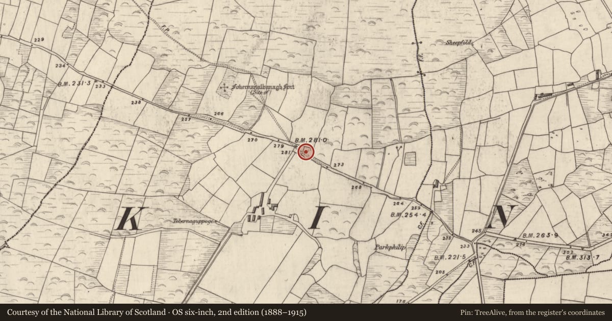 Ordnance Survey six-inch map, 2nd edition (1888–1915) covering the location of Souterrain, Gualainn, County Kerry, with a pin at the register's coordinates