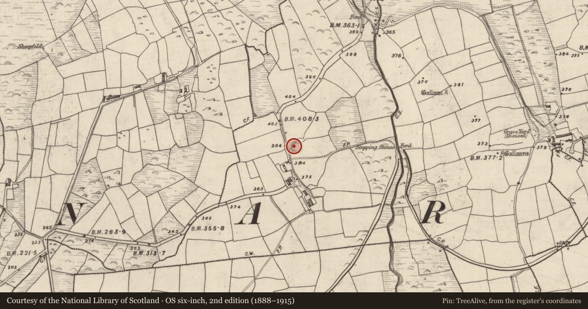 Ordnance Survey six-inch map, 2nd edition (1888–1915) covering the location of Hut site, An Gabhlán Beag, County Kerry, with a pin at the register's coordinates