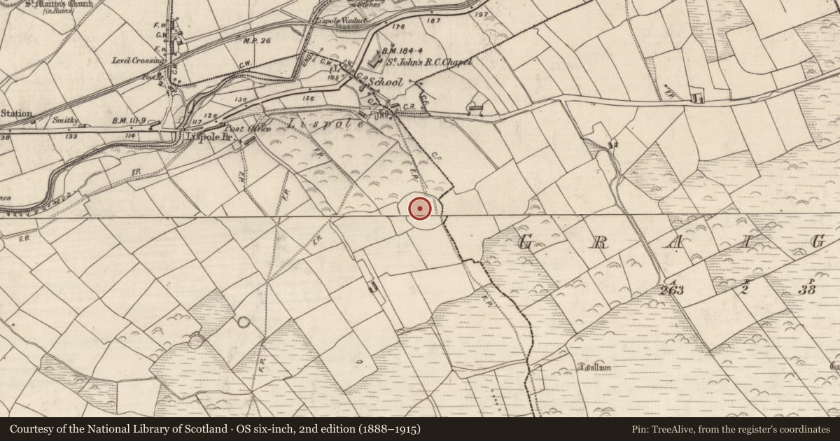 Ordnance Survey six-inch map, 2nd edition (1888–1915) covering the location of Enclosure, An Gráig (TC An Mhín Aird), Arda Mór (TC Cinn Aird), County Kerry, with a pin at the register's coordinates