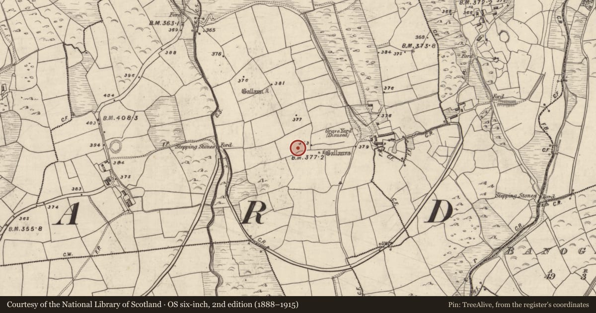 Ordnance Survey six-inch map, 2nd edition (1888–1915) covering the location of Hut site, An Gabhlán Ard, County Kerry, with a pin at the register's coordinates