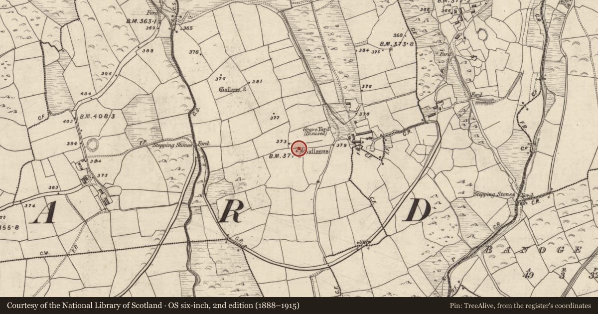 Ordnance Survey six-inch map, 2nd edition (1888–1915) covering the location of Standing stone - pair, An Gabhlán Ard, County Kerry, with a pin at the register's coordinates