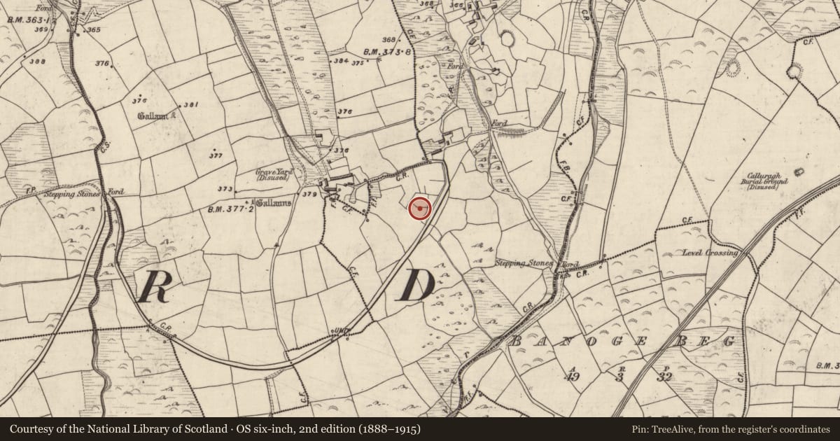 Ordnance Survey six-inch map, 2nd edition (1888–1915) covering the location of Ringfort - rath, An Gabhlán Thoir, County Kerry, with a pin at the register's coordinates