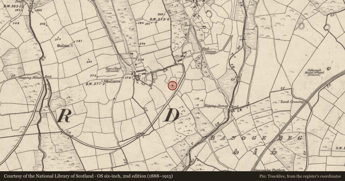 Ordnance Survey six-inch map, 2nd edition (1888–1915) covering the location of Hut site, An Gabhlán Thoir, County Kerry, with a pin at the register's coordinates