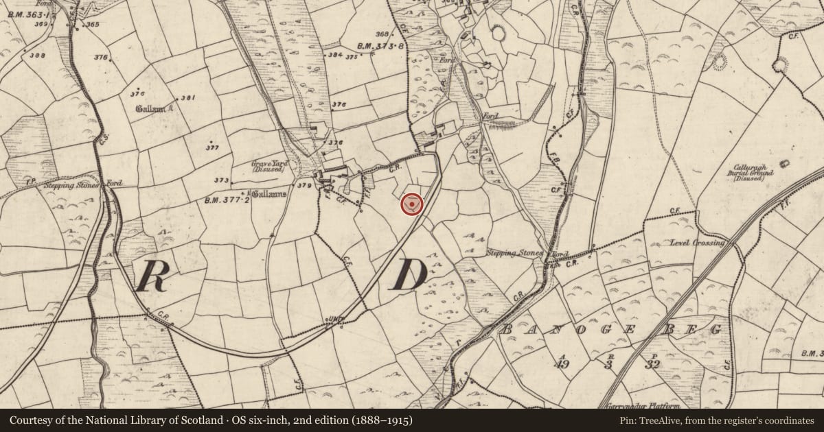 Ordnance Survey six-inch map, 2nd edition (1888–1915) covering the location of Hut site, An Gabhlán Thoir, County Kerry, with a pin at the register's coordinates