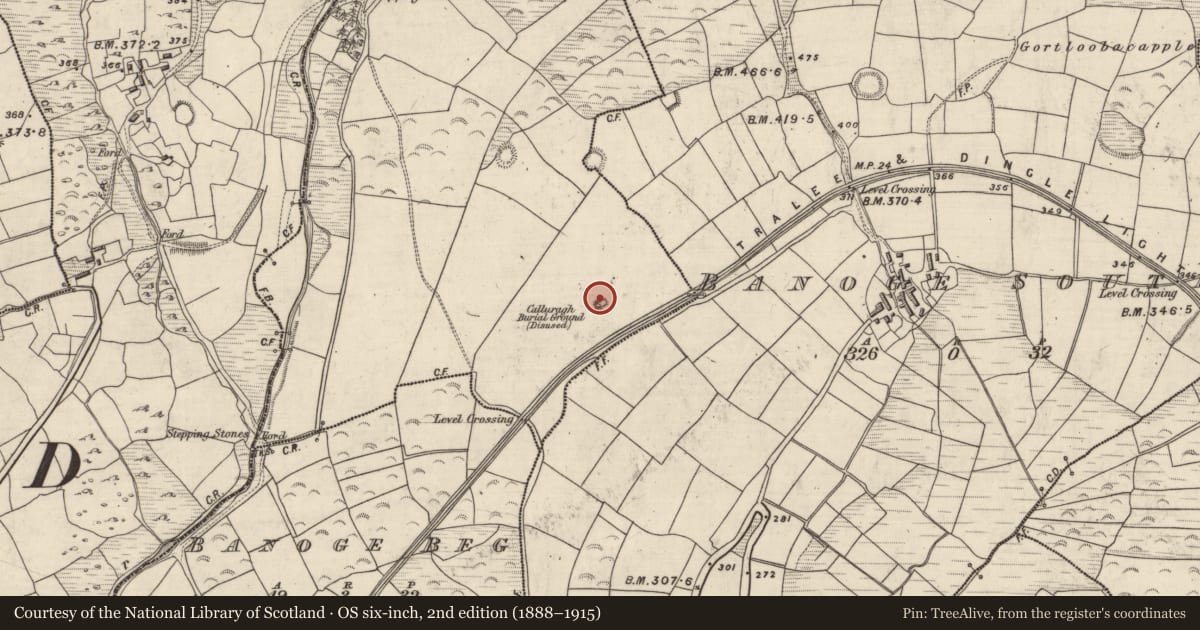 Ordnance Survey six-inch map, 2nd edition (1888–1915) covering the location of Children's burial ground, Oileán An Phocáin, County Kerry, with a pin at the register's coordinates