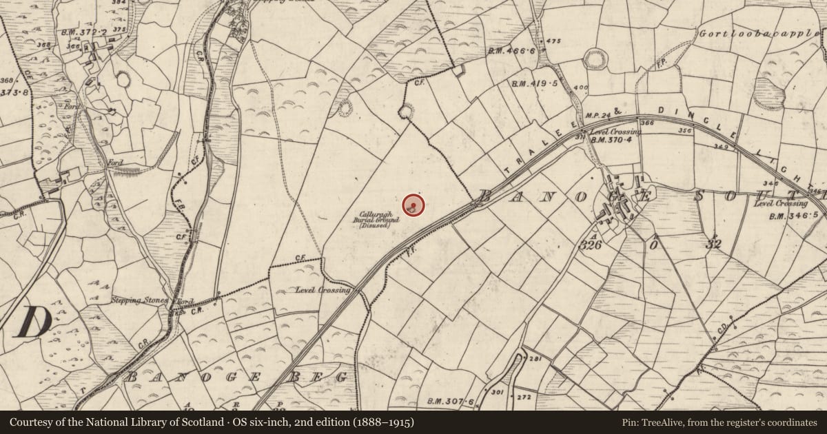 Ordnance Survey six-inch map, 2nd edition (1888–1915) covering the location of Clochan, Oileán An Phocáin, County Kerry, with a pin at the register's coordinates