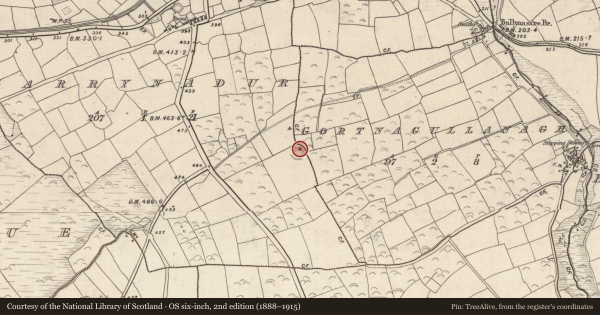 Ordnance Survey six-inch map, 2nd edition (1888–1915) covering the location of Enclosure, Gort Na Gcuileannach, Garraí Na Dtor, County Kerry, with a pin at the register's coordinates