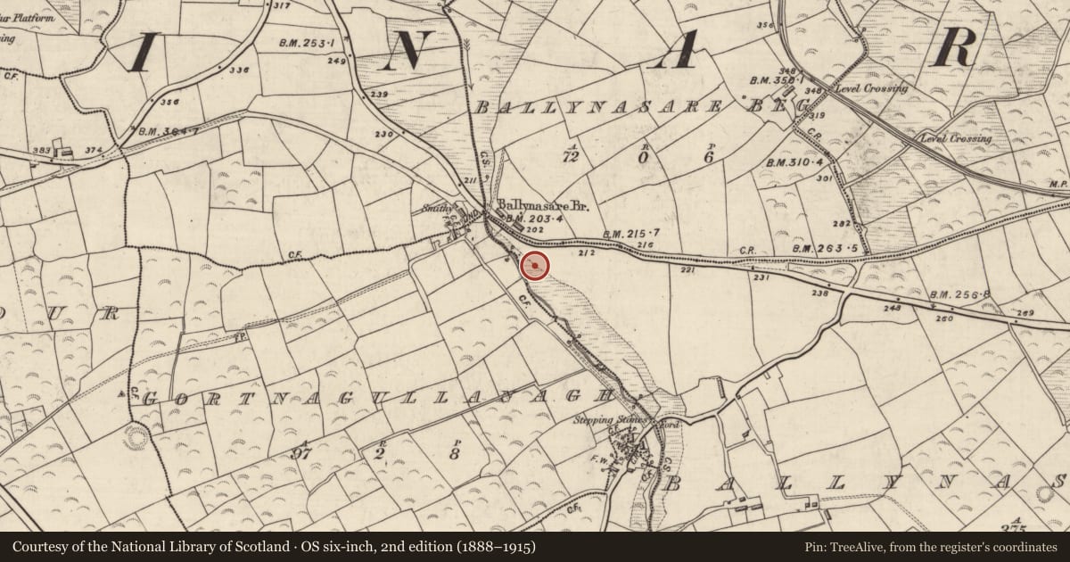Ordnance Survey six-inch map, 2nd edition (1888–1915) covering the location of Fulacht fia, Baile Na Saor Íochtarach, County Kerry, with a pin at the register's coordinates