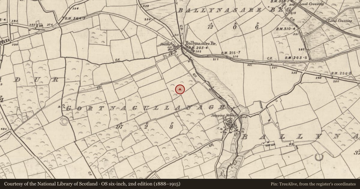 Ordnance Survey six-inch map, 2nd edition (1888–1915) covering the location of Clochan, Gort Na Gcuileannach, County Kerry, with a pin at the register's coordinates