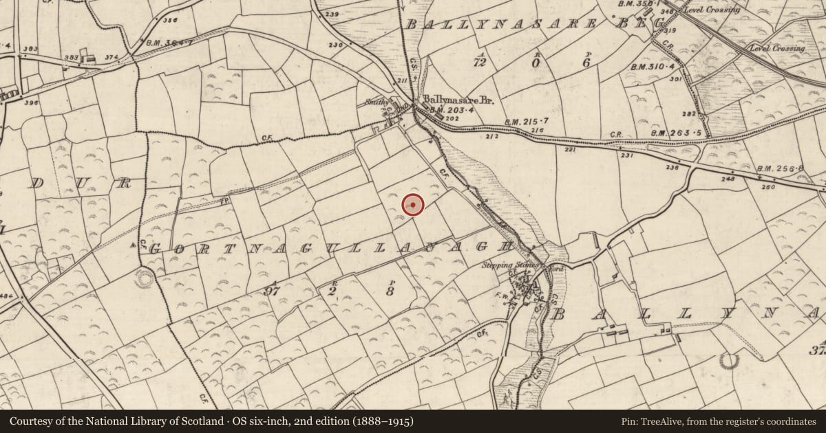 Ordnance Survey six-inch map, 2nd edition (1888–1915) covering the location of Children's burial ground, Gort Na Gcuileannach, County Kerry, with a pin at the register's coordinates