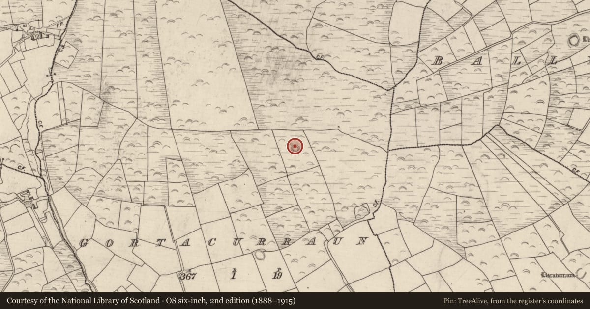Ordnance Survey six-inch map, 2nd edition (1888–1915) covering the location of Enclosure, Gortacurraun, County Kerry, with a pin at the register's coordinates