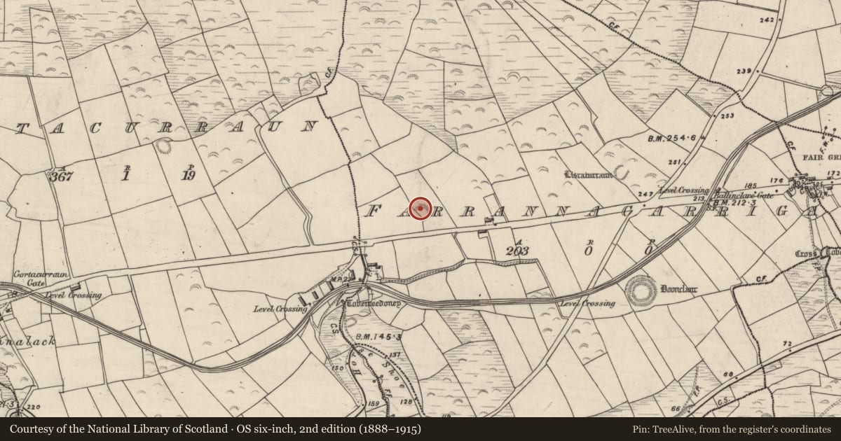 Ordnance Survey six-inch map, 2nd edition (1888–1915) covering the location of Souterrain, Farrannacarriga, County Kerry, with a pin at the register's coordinates