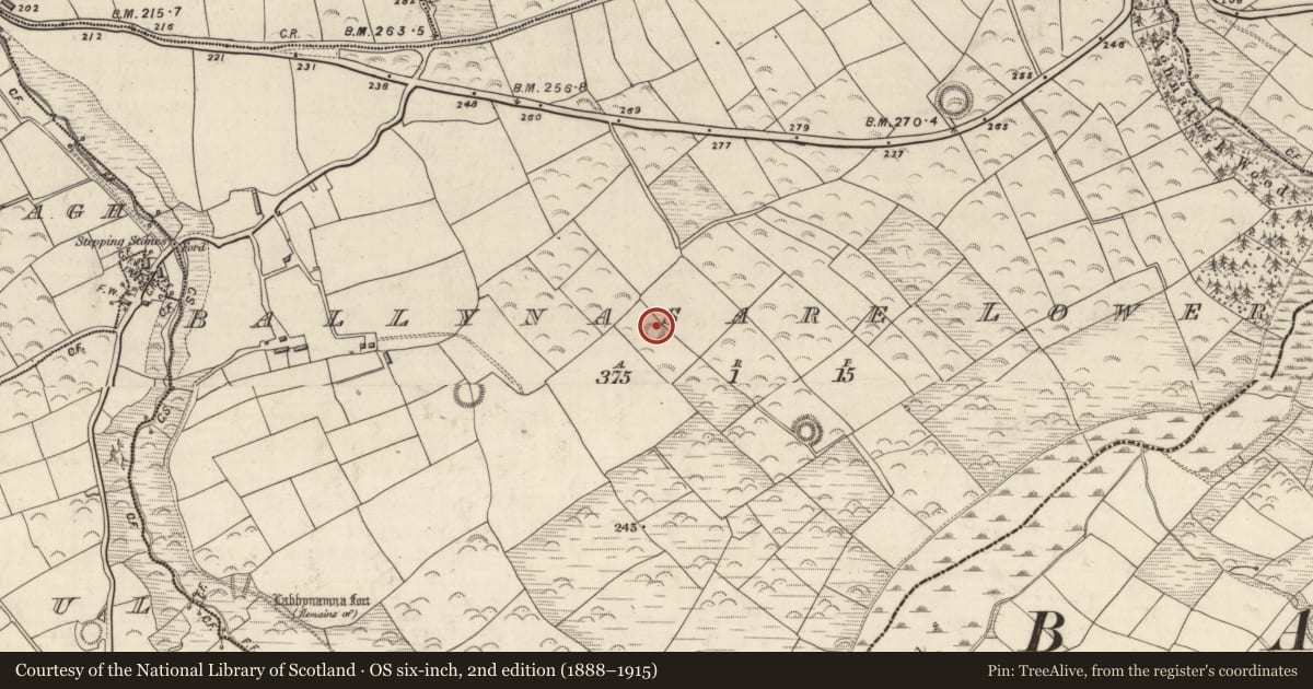 Ordnance Survey six-inch map, 2nd edition (1888–1915) covering the location of Ringfort - rath, Baile Na Saor Íochtarach, County Kerry, with a pin at the register's coordinates