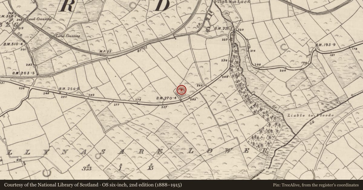 Ordnance Survey six-inch map, 2nd edition (1888–1915) covering the location of Ringfort - rath, Baile Na Saor Íochtarach, County Kerry, with a pin at the register's coordinates