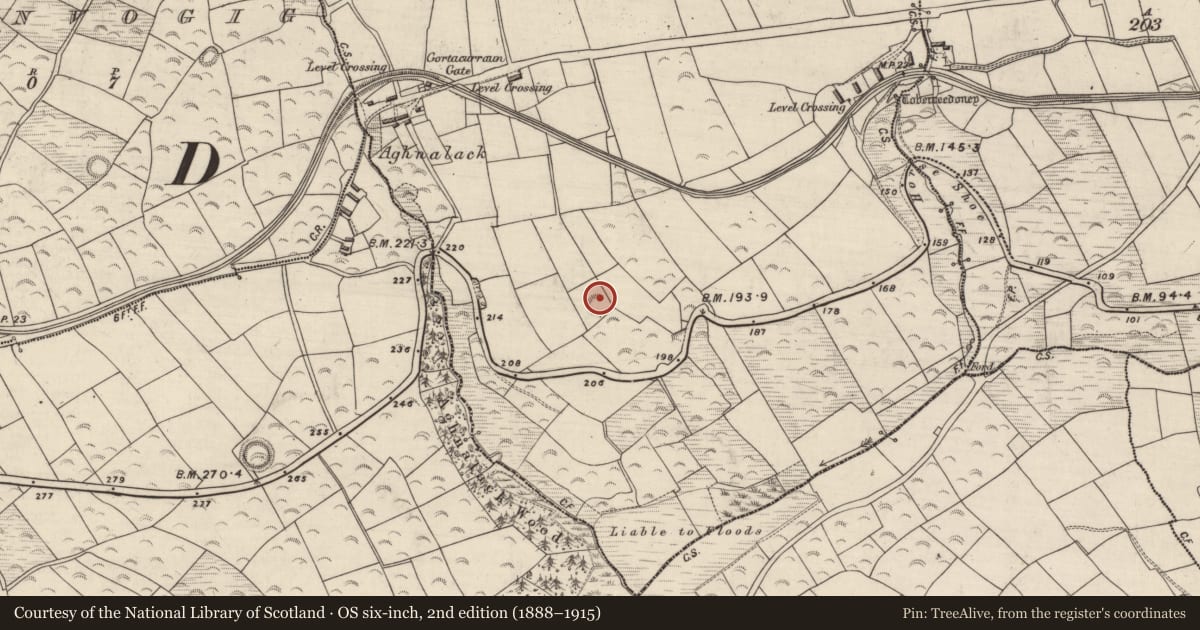 Ordnance Survey six-inch map, 2nd edition (1888–1915) covering the location of Souterrain, Gortacurraun, County Kerry, with a pin at the register's coordinates
