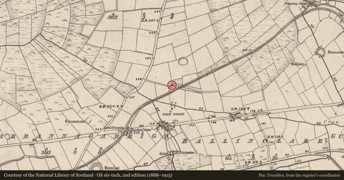 Ordnance Survey six-inch map, 2nd edition (1888–1915) covering the location of Ringfort - rath, Ballynacourty, County Kerry, with a pin at the register's coordinates