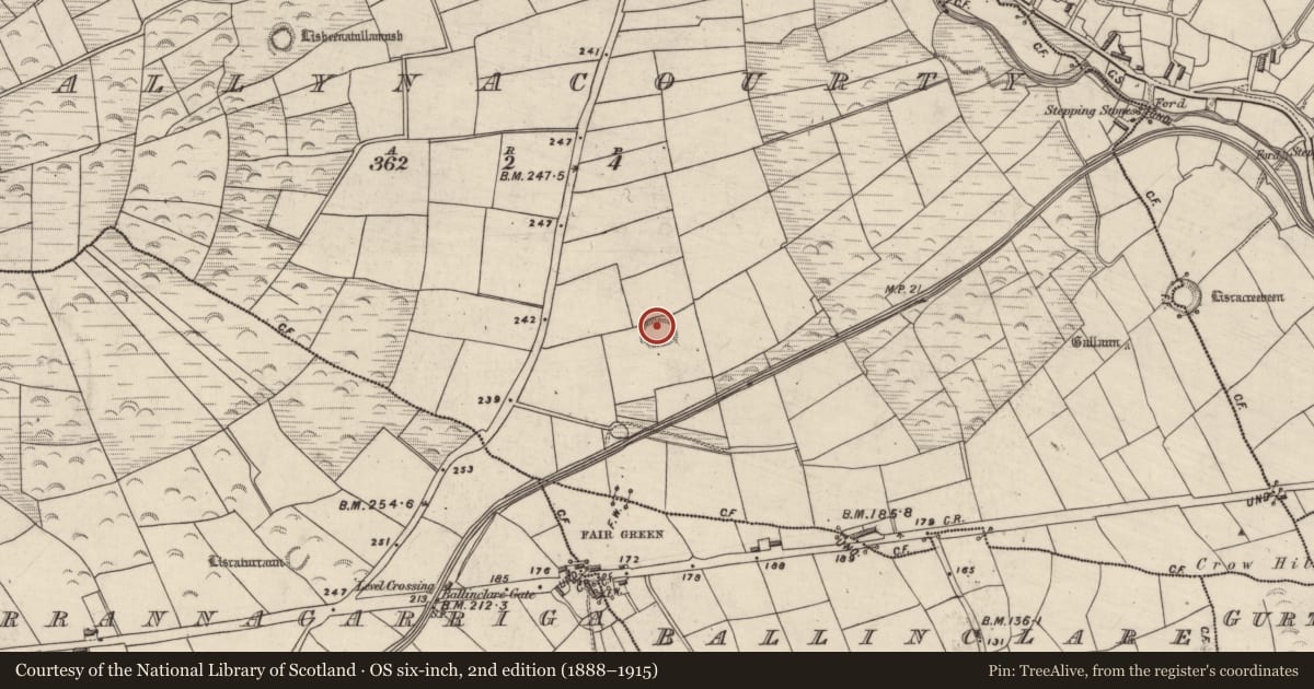 Ordnance Survey six-inch map, 2nd edition (1888–1915) covering the location of Ringfort - rath, Ballynacourty, County Kerry, with a pin at the register's coordinates
