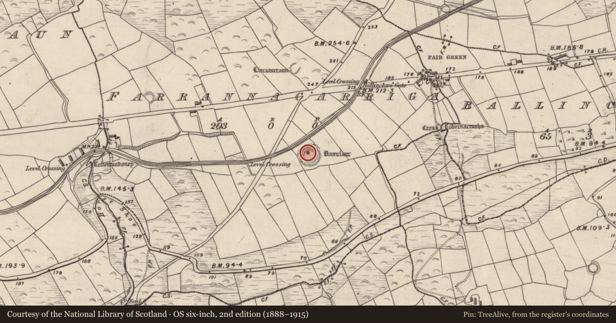 Ordnance Survey six-inch map, 2nd edition (1888–1915) covering the location of Ringfort - rath, Farrannacarriga, County Kerry, with a pin at the register's coordinates