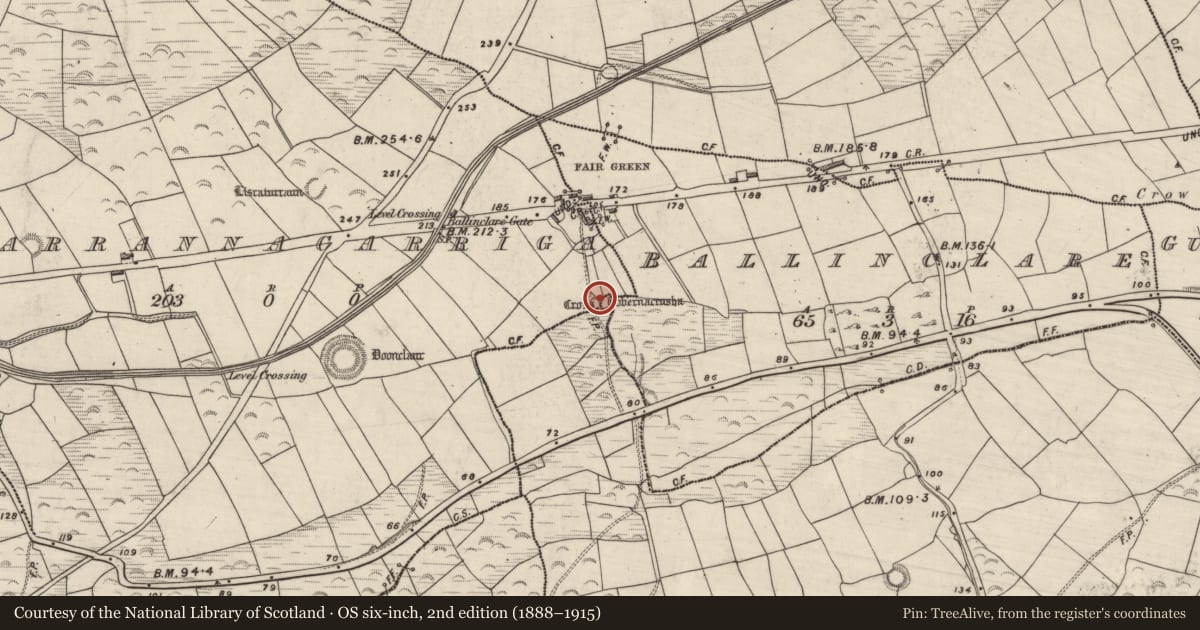 Ordnance Survey six-inch map, 2nd edition (1888–1915) covering the location of Cross-slab, Ballinclare, County Kerry, with a pin at the register's coordinates