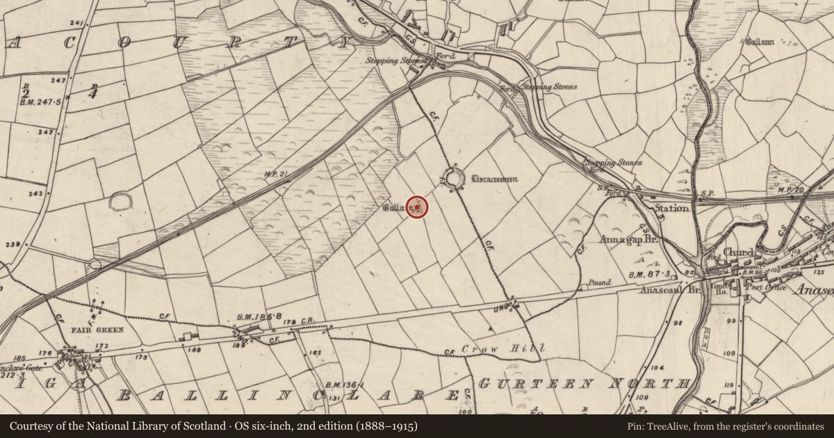 Ordnance Survey six-inch map, 2nd edition (1888–1915) covering the location of Standing stone, Ballynacourty, County Kerry, with a pin at the register's coordinates