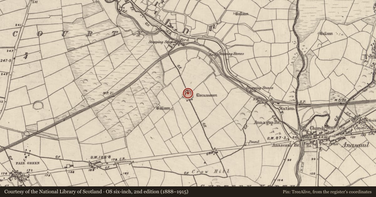 Ordnance Survey six-inch map, 2nd edition (1888–1915) covering the location of Souterrain, Annagap, Ballynacourty, County Kerry, with a pin at the register's coordinates