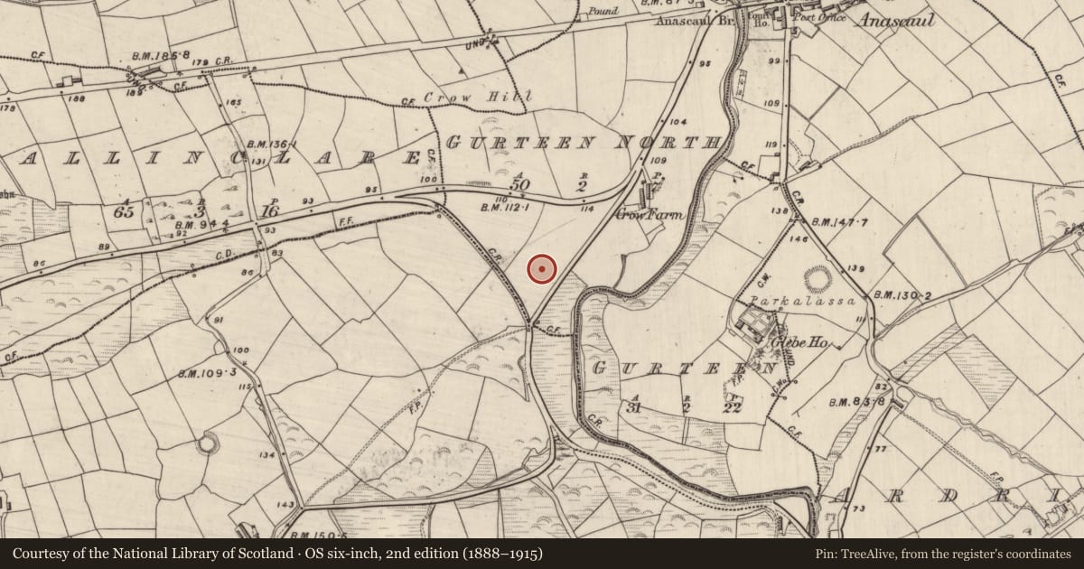 Ordnance Survey six-inch map, 2nd edition (1888–1915) covering the location of Souterrain, Gurteen North, County Kerry, with a pin at the register's coordinates