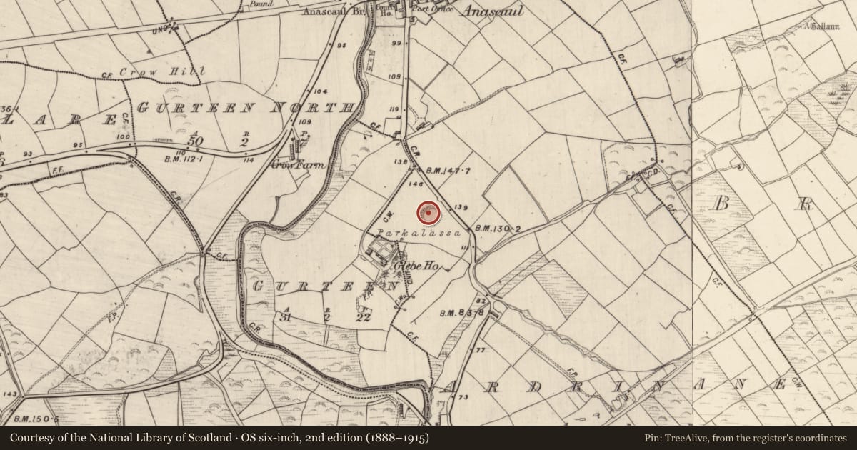 Ordnance Survey six-inch map, 2nd edition (1888–1915) covering the location of Ringfort - rath, Ardrinane, County Kerry, with a pin at the register's coordinates