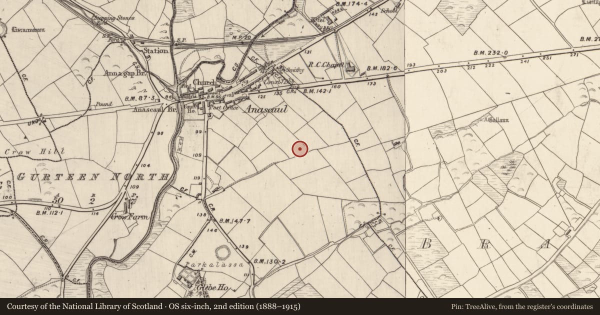 Ordnance Survey six-inch map, 2nd edition (1888–1915) covering the location of Rock art, Ardrinane, County Kerry, with a pin at the register's coordinates