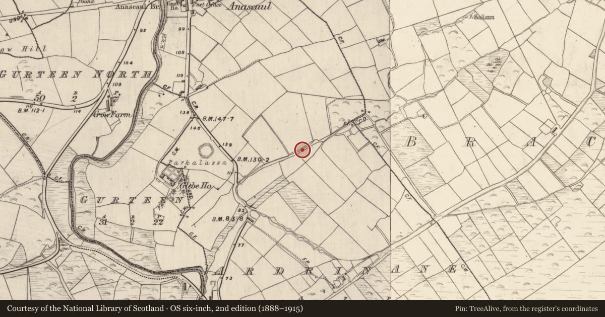 Ordnance Survey six-inch map, 2nd edition (1888–1915) covering the location of Bullaun stone, Ardrinane, County Kerry, with a pin at the register's coordinates