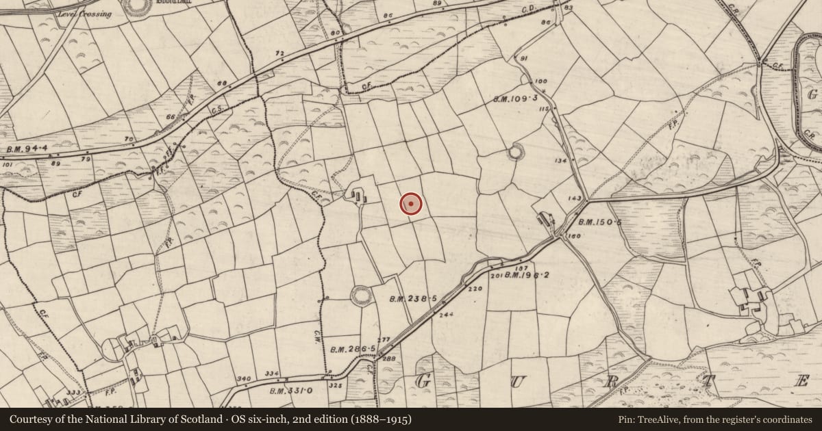 Ordnance Survey six-inch map, 2nd edition (1888–1915) covering the location of Ringfort - rath, Gurteen (Corkaguiny By., Ballinvoher Par.), County Kerry, with a pin at the register's coordinates
