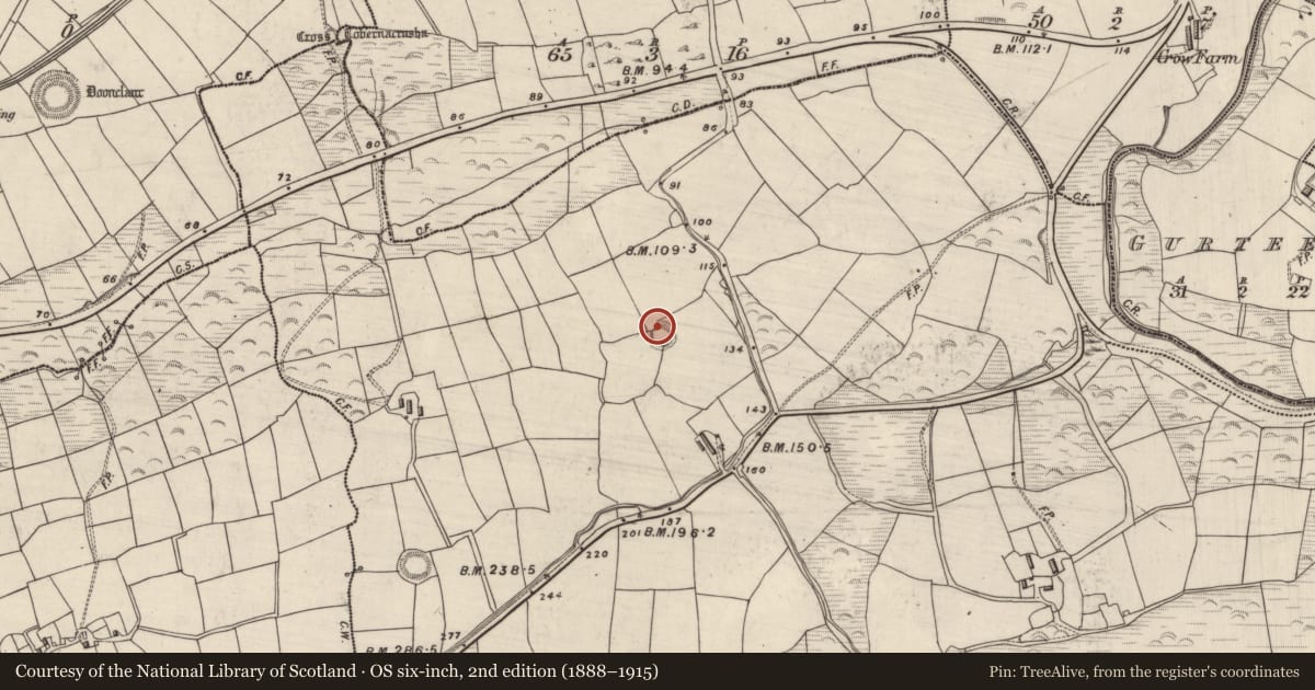 Ordnance Survey six-inch map, 2nd edition (1888–1915) covering the location of Ringfort - rath, Gurteen (Corkaguiny By., Ballinvoher Par.), County Kerry, with a pin at the register's coordinates