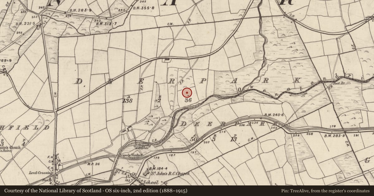 Ordnance Survey six-inch map, 2nd edition (1888–1915) covering the location of Deer park, Páirc An Fhia, Páirc An Fhia, County Kerry, with a pin at the register's coordinates