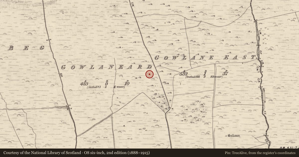 Ordnance Survey six-inch map, 2nd edition (1888–1915) covering the location of Rock art, An Gabhlán Ard, County Kerry, with a pin at the register's coordinates