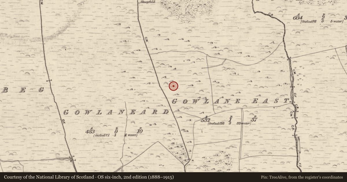 Ordnance Survey six-inch map, 2nd edition (1888–1915) covering the location of Rock art, An Gabhlán Thoir, County Kerry, with a pin at the register's coordinates