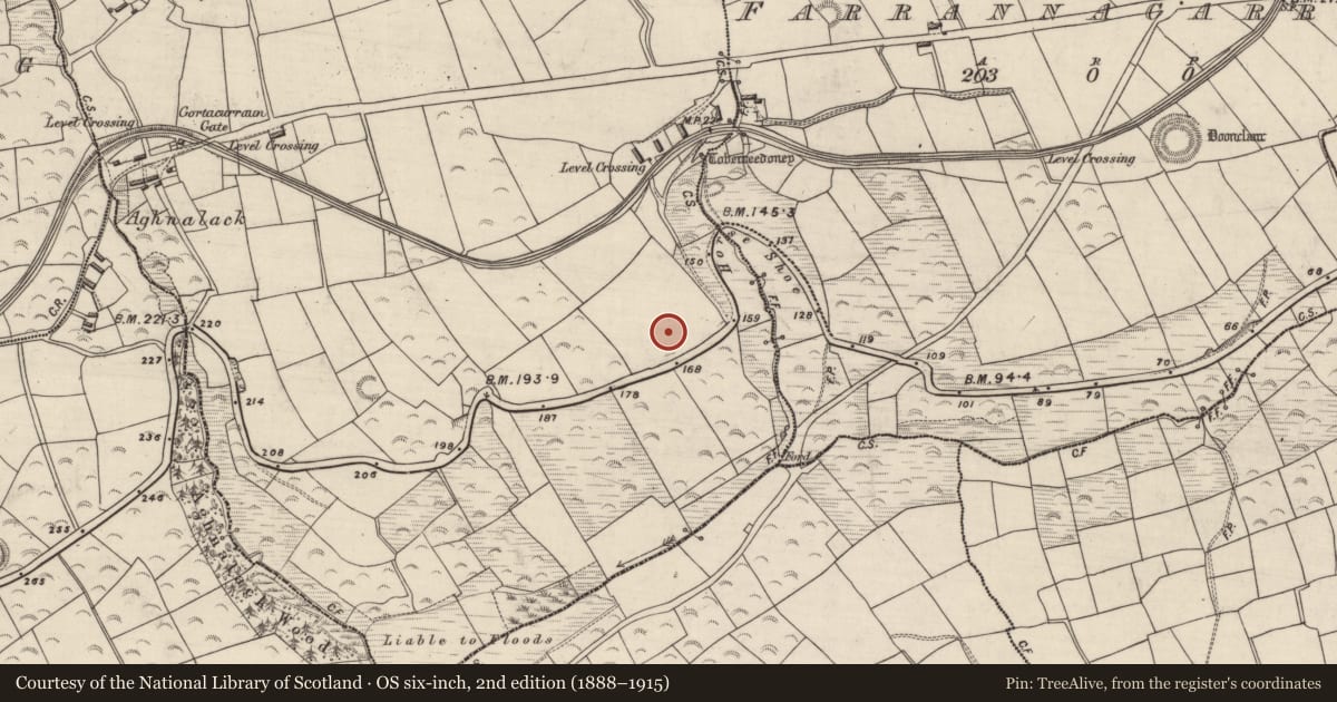 Ordnance Survey six-inch map, 2nd edition (1888–1915) covering the location of Charcoal-making site, Gortacurraun, County Kerry, with a pin at the register's coordinates