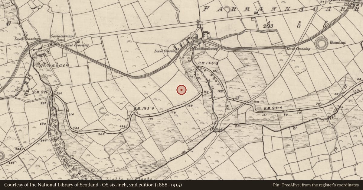 Ordnance Survey six-inch map, 2nd edition (1888–1915) covering the location of Enclosure, Gortacurraun, County Kerry, with a pin at the register's coordinates
