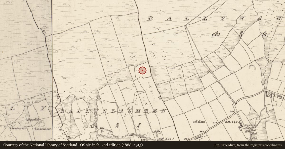 Ordnance Survey six-inch map, 2nd edition (1888–1915) covering the location of Cairn - burial cairn, Baile An Ghlaisín, County Kerry, with a pin at the register's coordinates