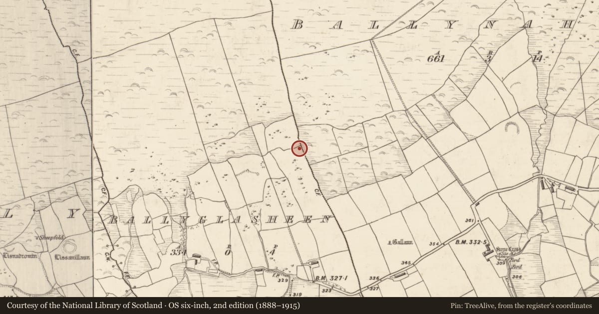 Ordnance Survey six-inch map, 2nd edition (1888–1915) covering the location of Rock art, Baile An Ghlaisín, County Kerry, with a pin at the register's coordinates