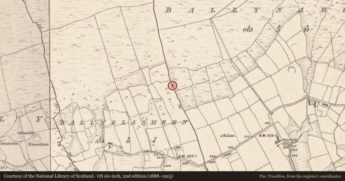 Ordnance Survey six-inch map, 2nd edition (1888–1915) covering the location of Cupmarked stone, Baile An Ghlaisín, County Kerry, with a pin at the register's coordinates