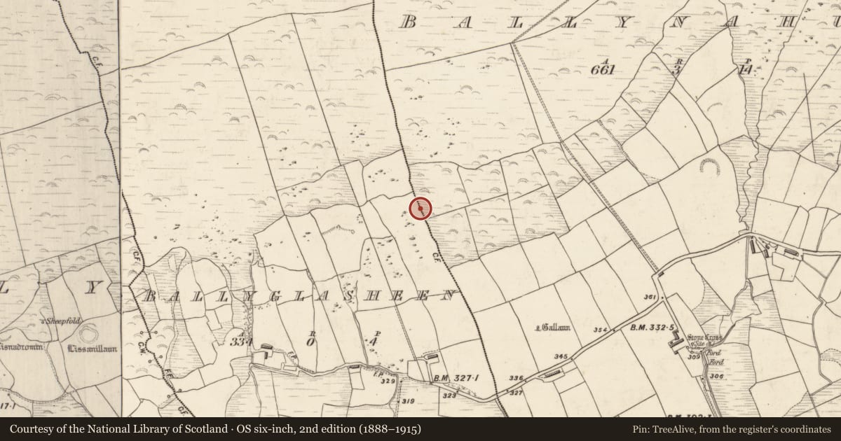 Ordnance Survey six-inch map, 2nd edition (1888–1915) covering the location of Cupmarked stone, Baile An Ghlaisín, County Kerry, with a pin at the register's coordinates