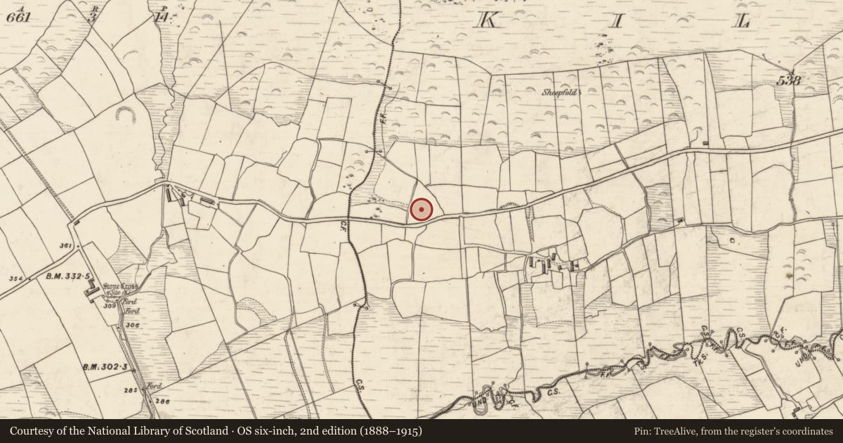 Ordnance Survey six-inch map, 2nd edition (1888–1915) covering the location of Enclosure, Kilduff, County Kerry, with a pin at the register's coordinates